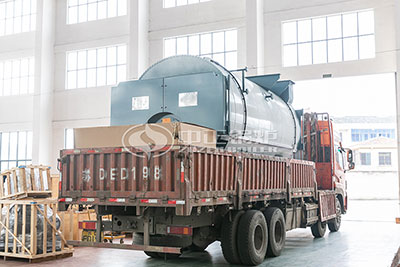 4tph gas steam boiler supply