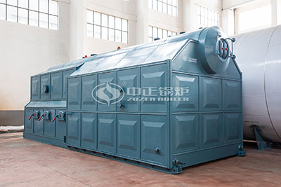 dzl coal boilers