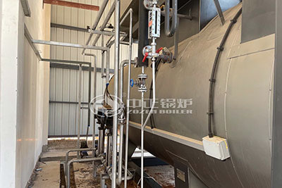 industrial gas fired boiler
