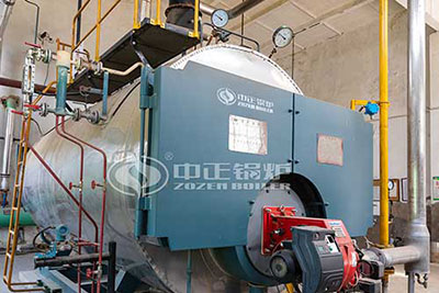 10 Ton Light Oil Fired Boiler in Philippine