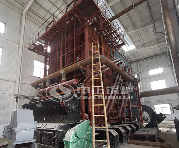 10 Ton Water Tube Biomass Boiler