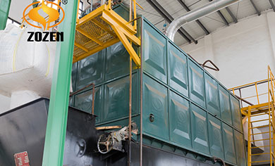 12 ton biomass fired boiler