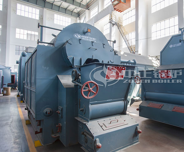 12 ton per hour dzl coal steam boiler