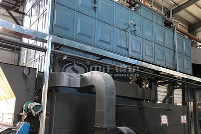 20 ton biomass fired steam boiler