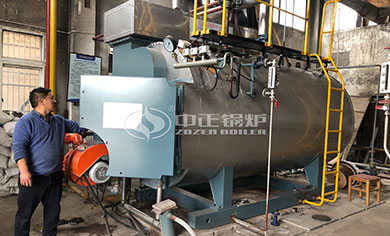 3 ton gas fired boiler