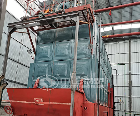 6 ton coal chain grate steam boiler