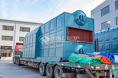 DZL series biomass fired boilers