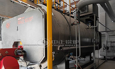 Diesel Fire Tube Boiler in Chemical Factory