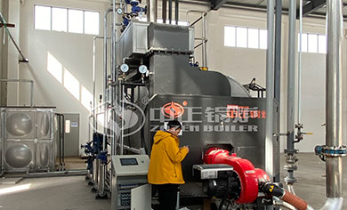 LPG steamm boilers