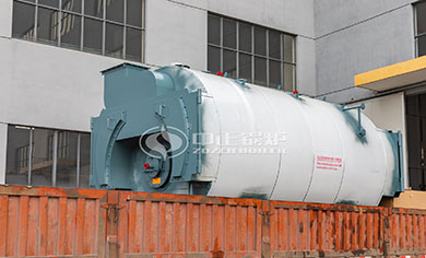 WNS condensing gas fired boiler