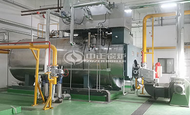 WNS diesel fired boiler
