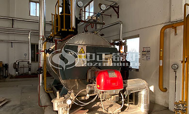 WNS gas fired steam boiler