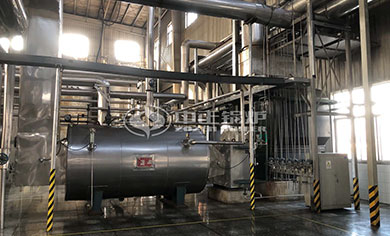 WNS oil fired steam boiler