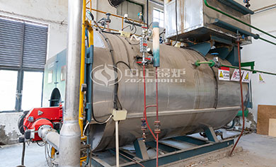 WNS oil gas fired boiler