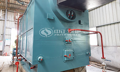 assembly dzl coal fired boilers