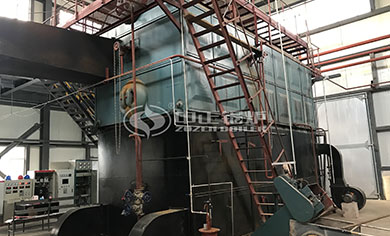 automatic chain grate coal boiler