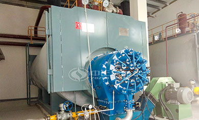 automatic gas fired boiler