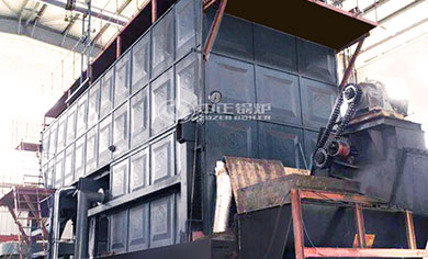 biomass fired steam boiler for rubber industry