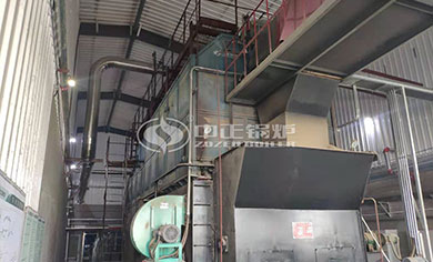 coal chain grate steam boiler