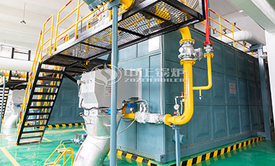 diesel light oil fired boiler