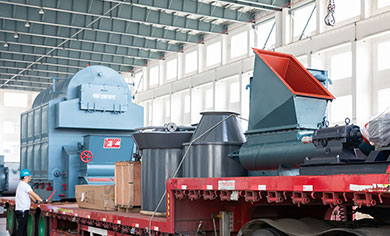 dzl 10t biomass fired steam boiler