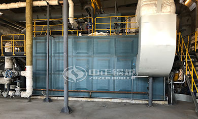 gas fired steam boiler