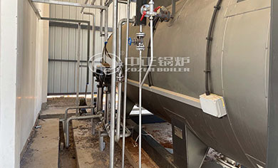 WNS oil fired steam boiler