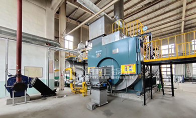 light oil fired steam boiler