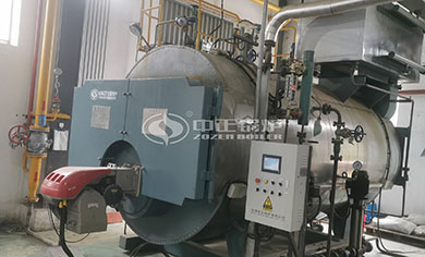 lpg gas fired boiler