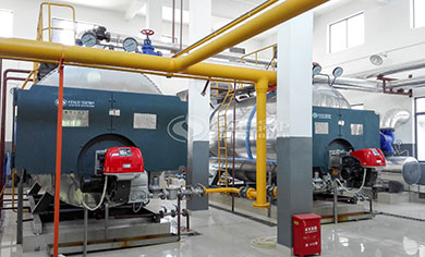 natural gas fired boiler for heating