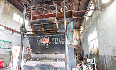 szl coal steam boiler for hospital