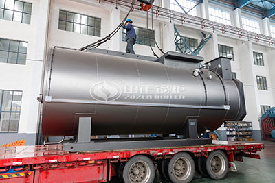 wns gas fired boiler