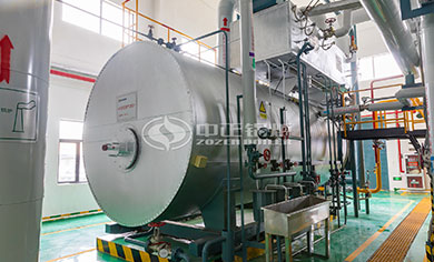 wns oil fired steam boiler