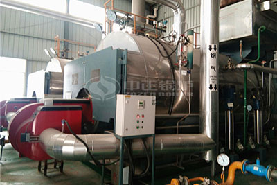 10 Tph WNS Gas Boiler for Feed Mill