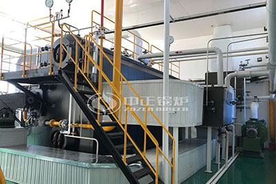 20 ton gas steam boiler