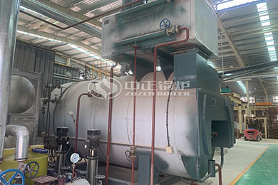 5 ton gas fired boiler