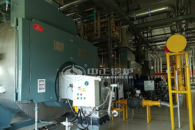 4 Tone Gas Steam Boilers in Turkey