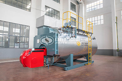 WNS gas oil fired boiler