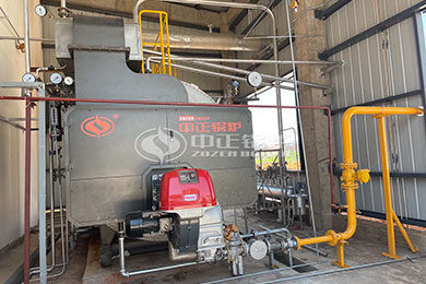 WNS light oil fired boiler