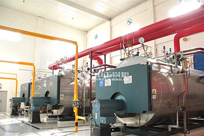 gas-boiler-for-dairy-food-processing