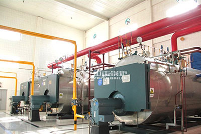 5 Ton Gas Boiler in Food Processing