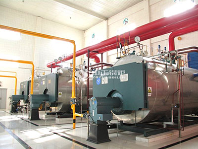 gas boiler for dairy food processing