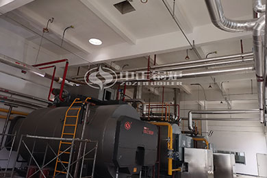 natural gas fired steam boiler