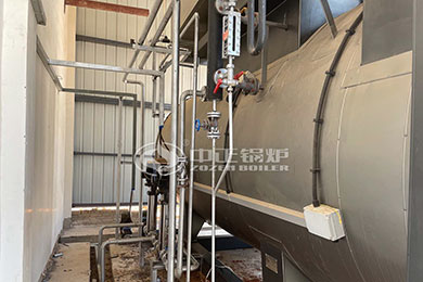 oil fired steam boiler