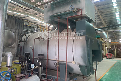 wns gas oil fired boiler
