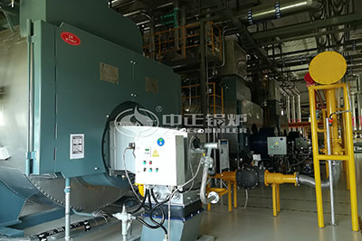 WNS 15 TPH Gas Steam Boiler for Dairy Industry