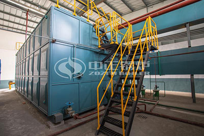 25 ton gas boiler for food industry