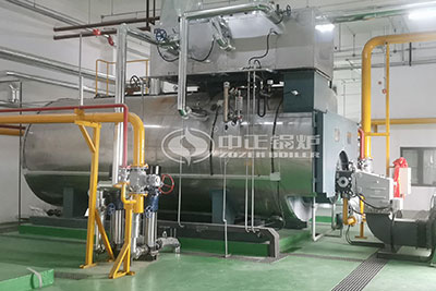 6 ton gas fired steam boiler