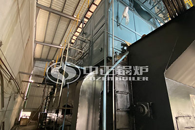 DZL chain grate coal steam boiler