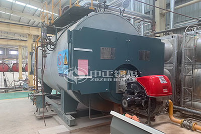 WNS series gas steam boiler